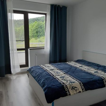 Dorin Colina Marei Apartment Sinaia Ngoại thất bức ảnh