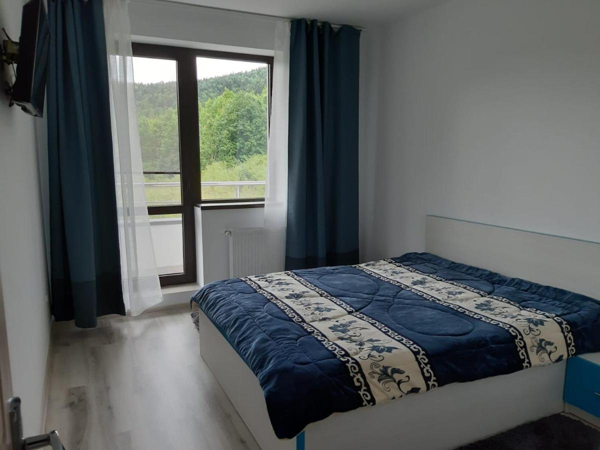 Dorin Colina Marei Apartment Sinaia Ngoại thất bức ảnh