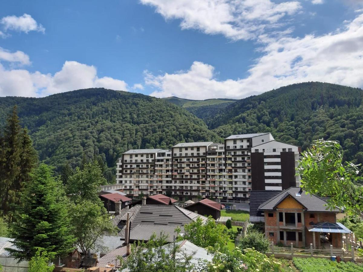 Dorin Colina Marei Apartment Sinaia Ngoại thất bức ảnh