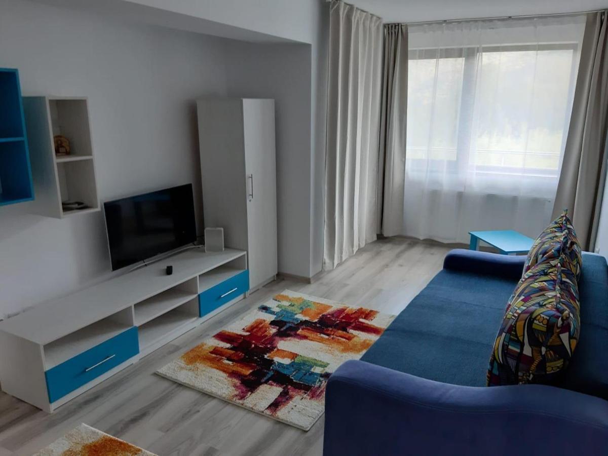 Dorin Colina Marei Apartment Sinaia Ngoại thất bức ảnh